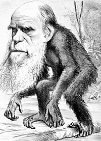 Γελοιογραφία που παρουσιάζει τον Δαρβίνο ως πιθηκάνθρωπο